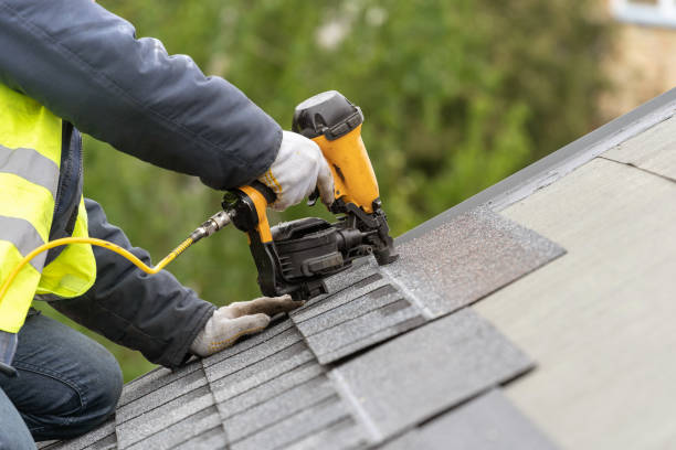 Best Roof Moss and Algae Removal  in Eddington, PA