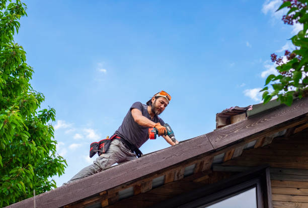 Best Roof Ventilation Installation  in Eddington, PA